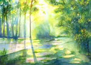 Forest light 10mb(1)